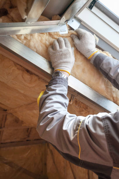 Best Blown-in Insulation  in Sanborn, IA