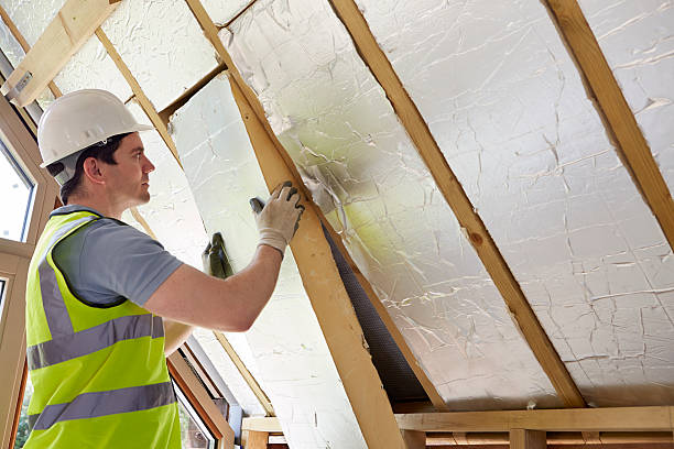 Best Affordable Insulation Services  in Sanborn, IA